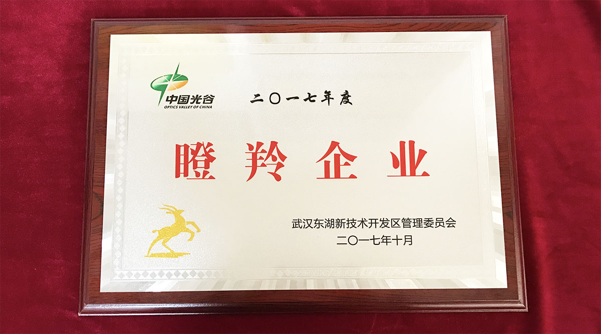 祝賀武漢邁信電氣技術(shù)有限公司榮獲中國光谷2017年度“瞪羚企業(yè)”！